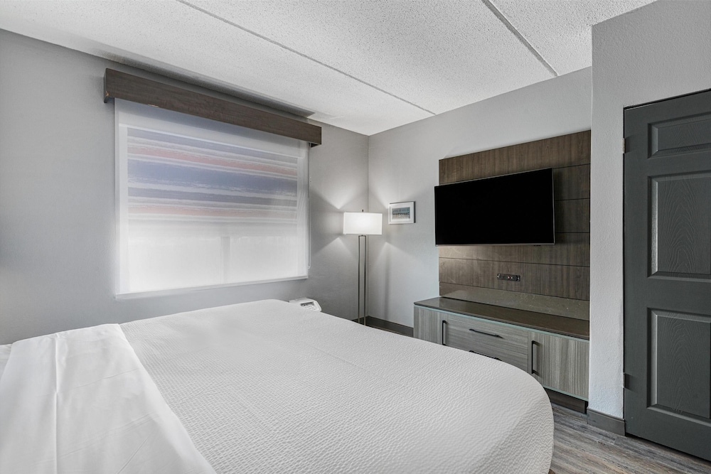 Suite, 1 King Bed, Non Smoking (with Sofabed) - Photo 1