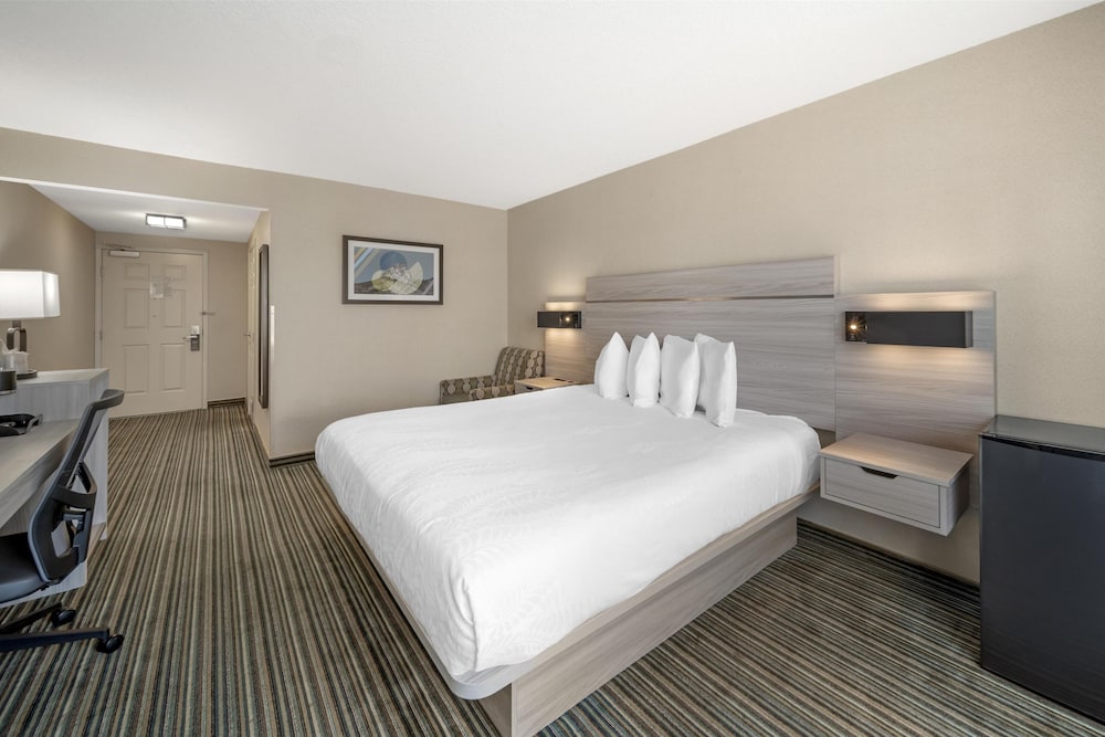 Standard Room, 1 King Bed, Accessible, Refrigerator & Microwave - Photo 2