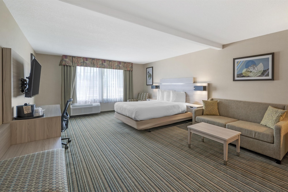 Suite, 1 King Bed, Accessible, Refrigerator & Microwave (with Single Sofabed) - Photo 2