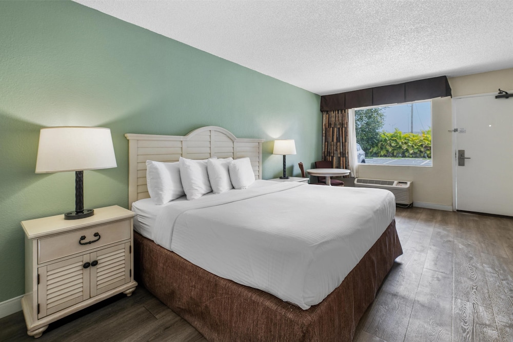 Standard Room, 1 King Bed, Accessible, Refrigerator & Microwave - Photo 3