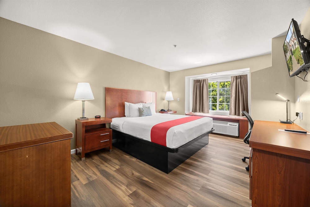 Suite, 1 King Bed, Non Smoking, Kitchen (with Single Sofabed, Full Kitchen) photo 2
