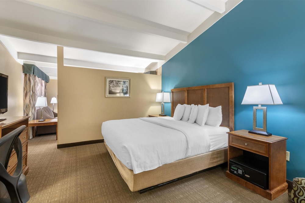 Suite, 1 King Bed, Non Smoking, Refrigerator & Microwave (with Sofabed) - Photo 3
