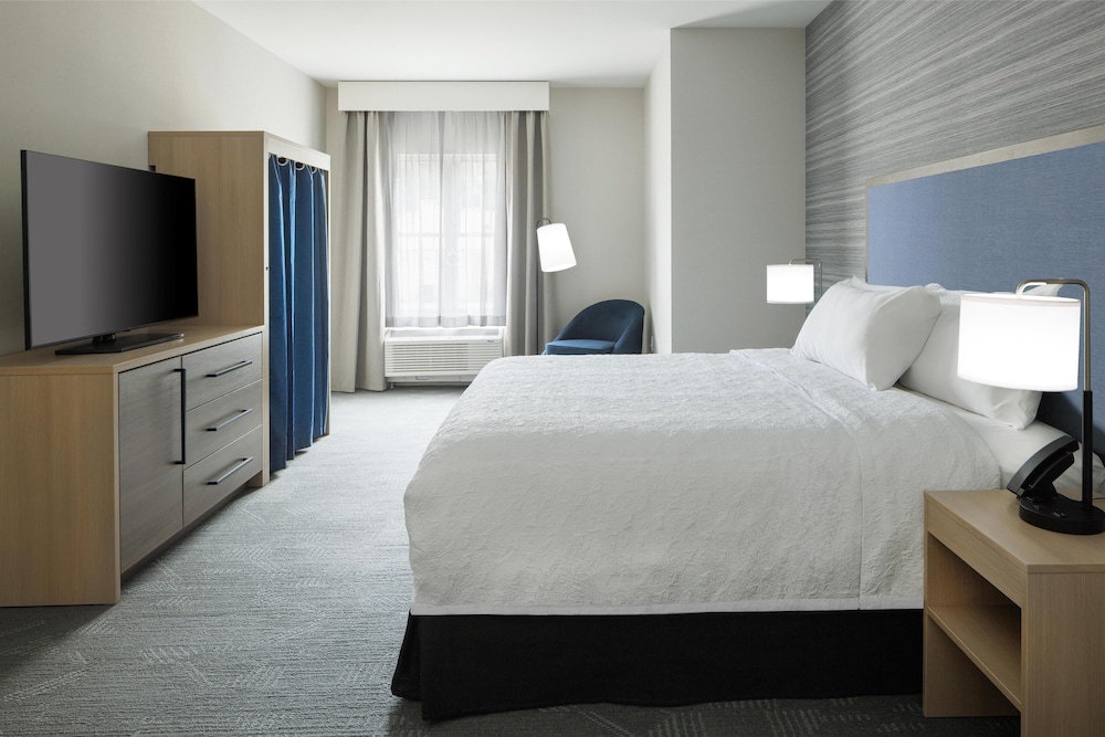 Suite, 1 King Bed with Sofa bed (Roll-In Shower)