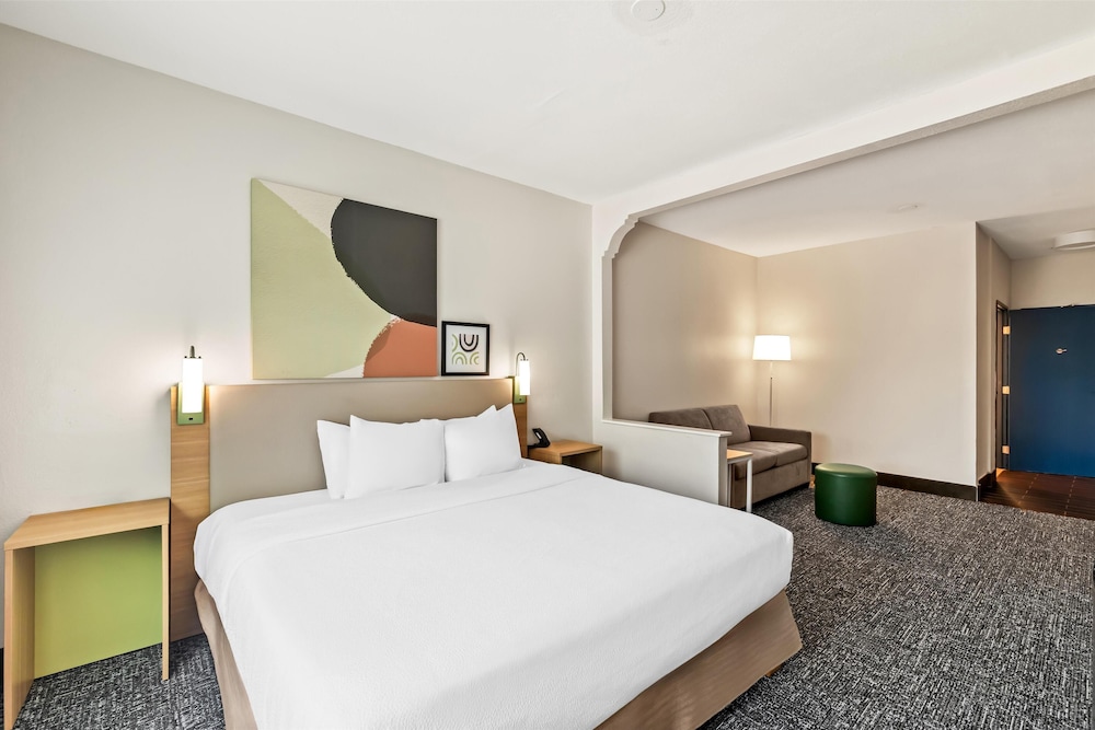 Room, 1 King Bed with Sofa bed, Accessible (Roll-In Shower) - Photo 3