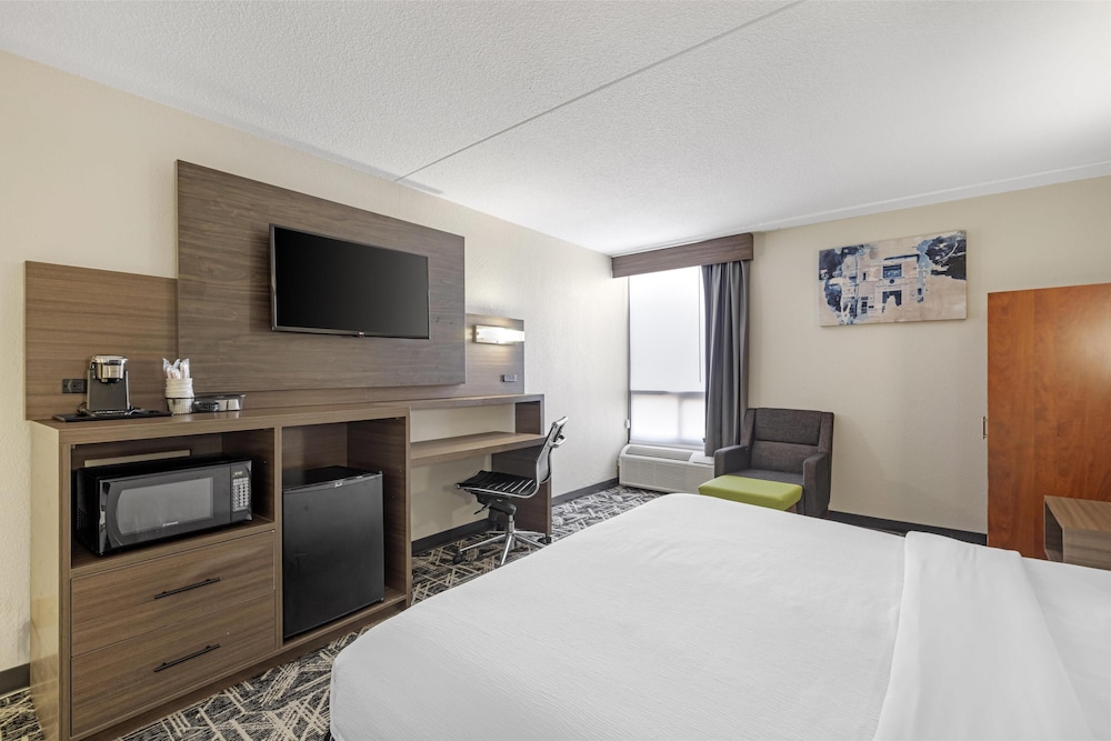 Standard Room, 1 King Bed, Accessible, Refrigerator & Microwave - Photo 4