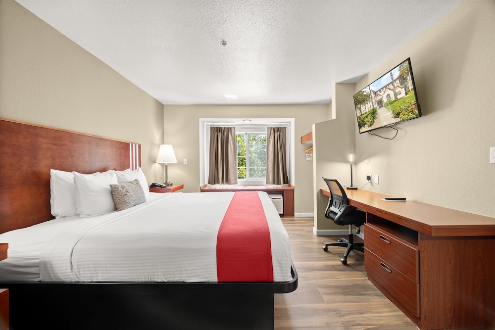 Suite, 1 King Bed, Non Smoking, Kitchen (with Single Sofabed, Full Kitchen) photo 3