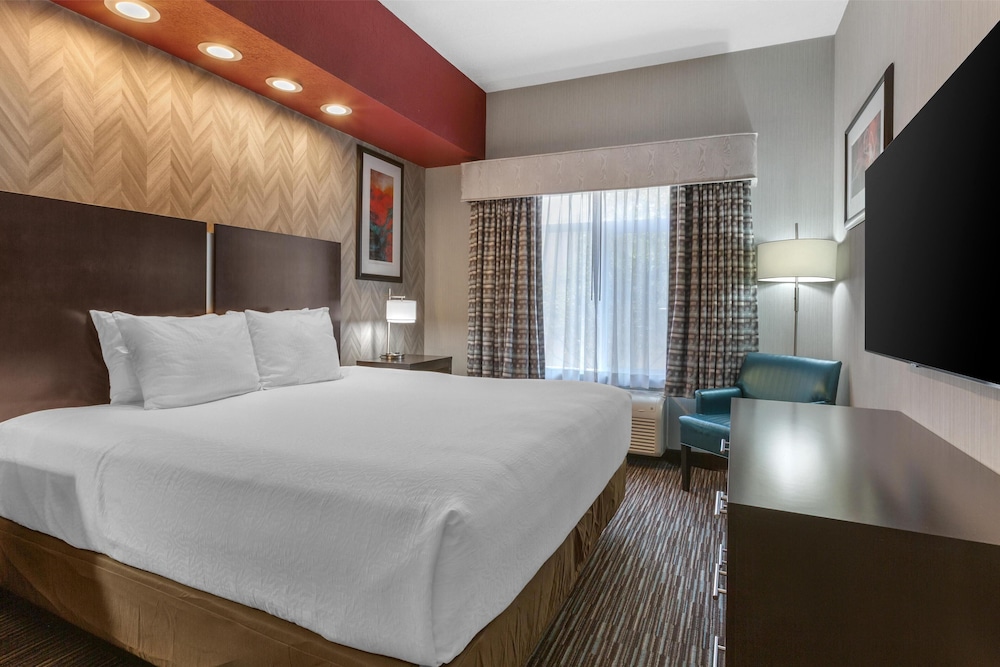 Suite, 1 King Bed, Accessible, Kitchen (with Sofabed)