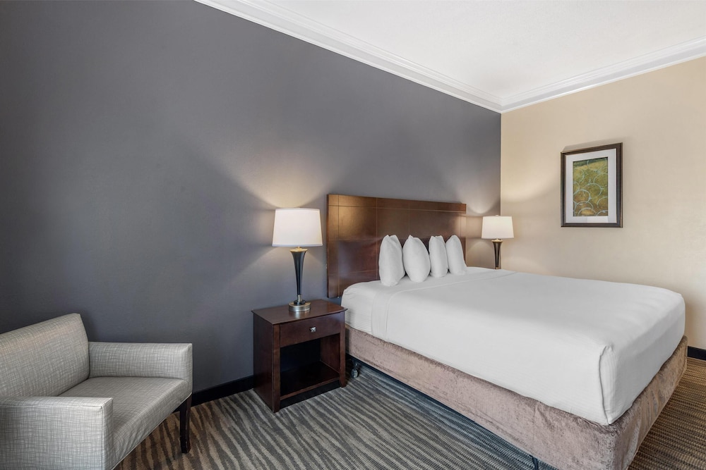 Standard Room, 1 King Bed, Accessible, Refrigerator & Microwave - Photo 1