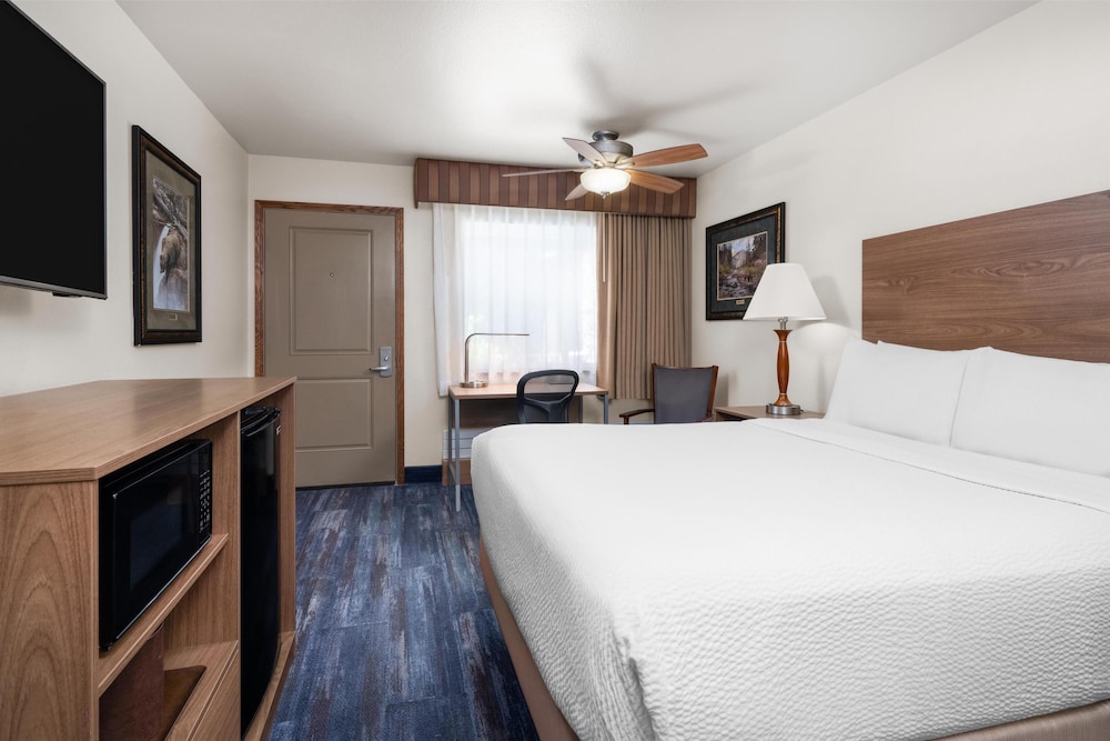 Standard Room, 1 Queen Bed, Accessible, Non Smoking photo 3