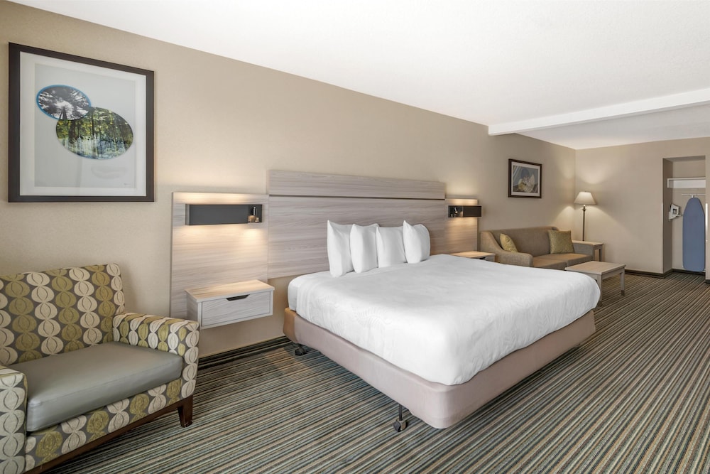 Suite, 1 King Bed, Accessible, Refrigerator & Microwave (with Single Sofabed) - Photo 3
