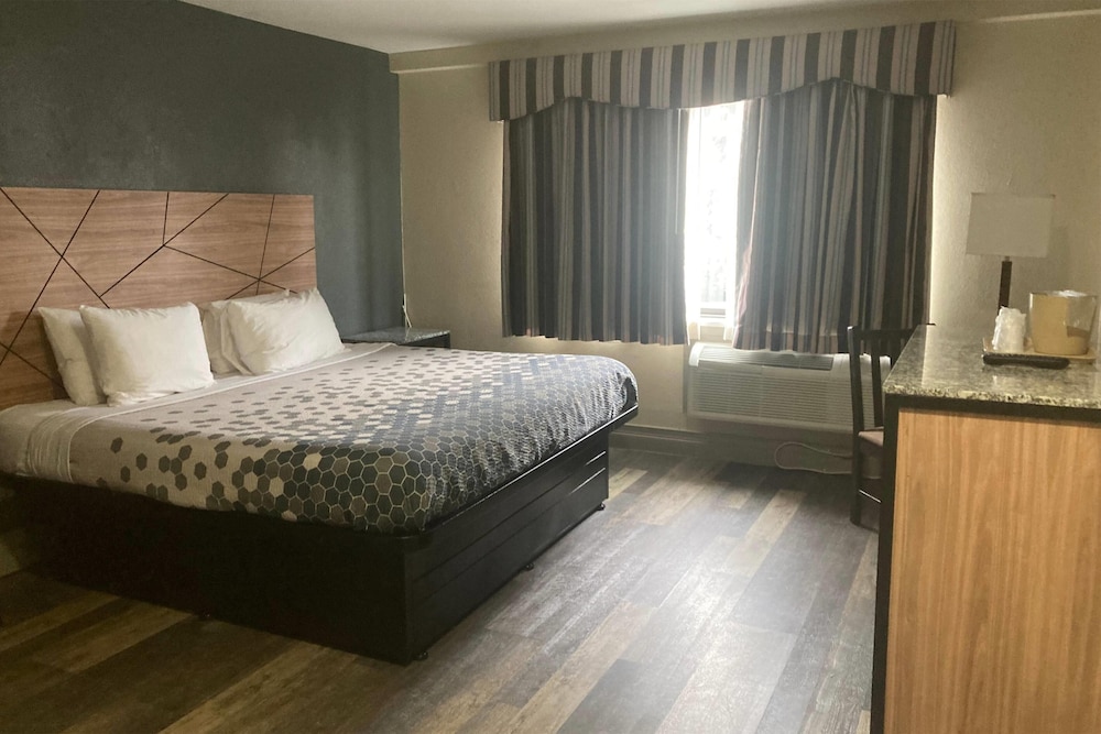 Room, 1 King Bed, Non Smoking photo 2