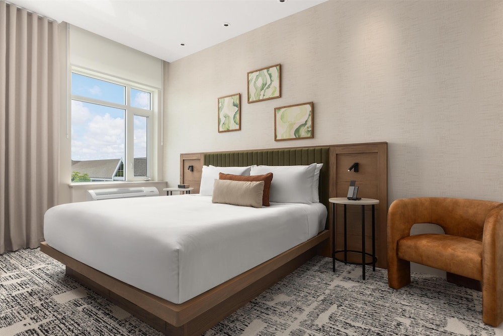 Room, 1 King Bed