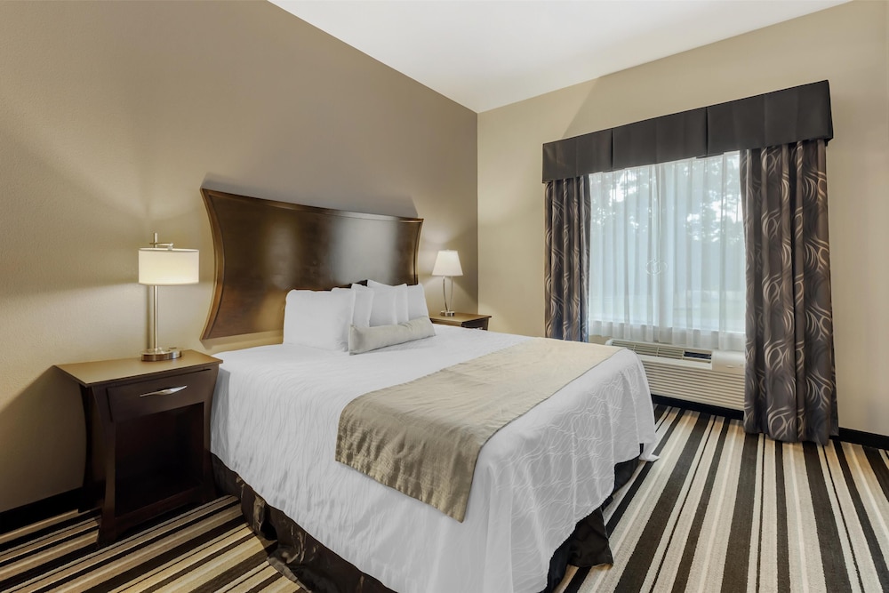 Suite, 1 King Bed, Non Smoking, Jetted Tub (Larger Room;with Sofabed)
