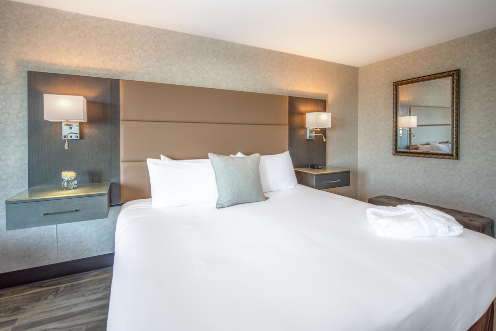 Premium Room, 1 King Bed photo 3