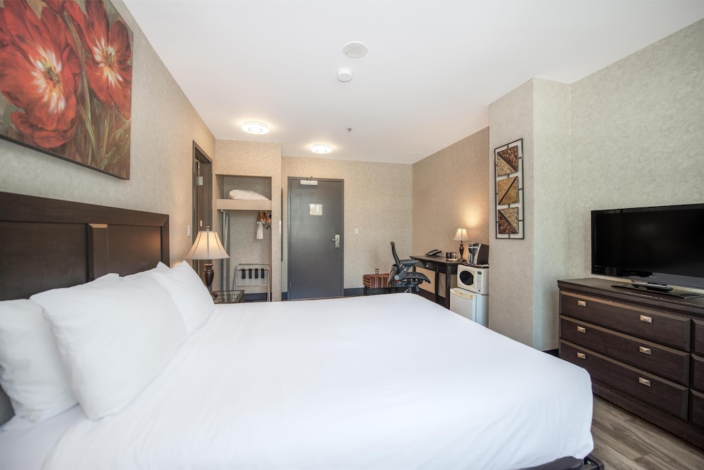Room, 1 Queen Bed, photo 6