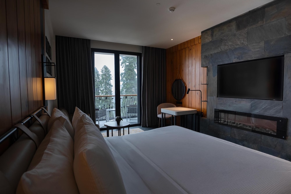 Room, 1 King Bed photo 2
