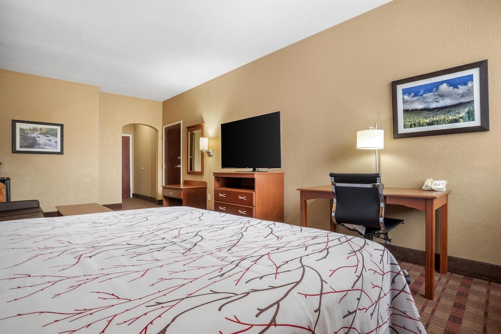 Suite, 1 King Bed, Accessible, Refrigerator & Microwave photo 1