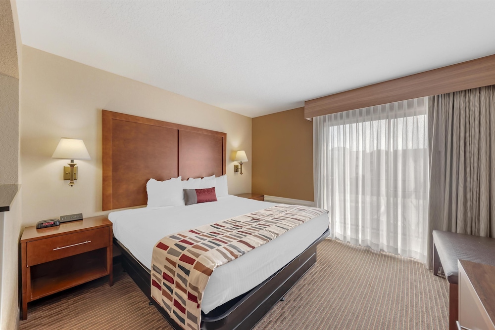 Suite, 1 King Bed, Non Smoking, Refrigerator & Microwave (with Sofabed) - Photo 3