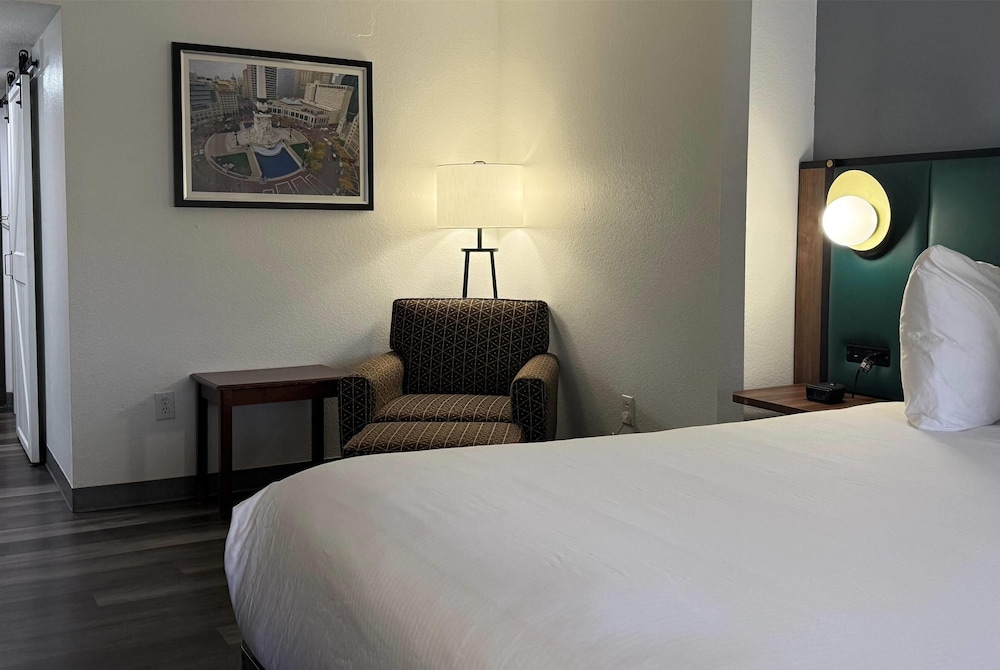 Room, 1 King Bed photo 3