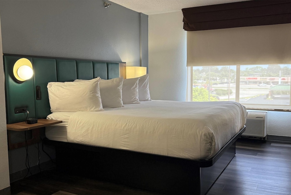 Room, 1 King Bed photo 1