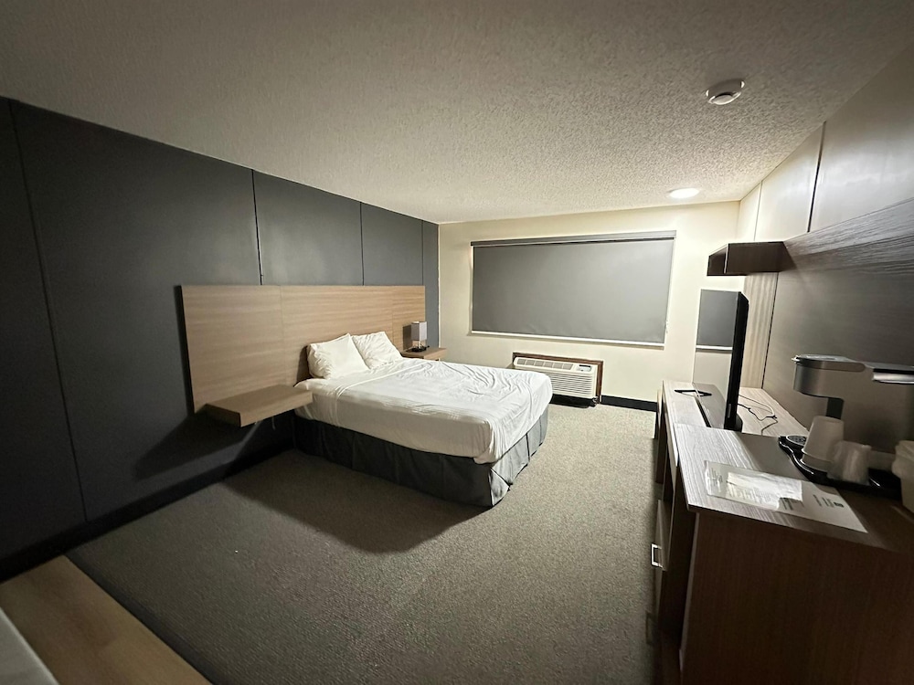 Standard Room, 1 Queen Bed, Non Smoking, Refrigerator & Microwave (with Sofabed)