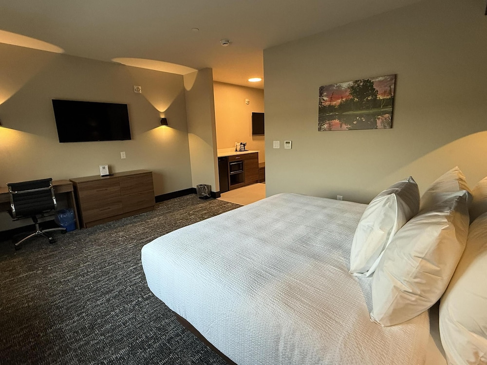 Suite, 1 King Bed, Non Smoking (Shower Only;with Single Sofabed)