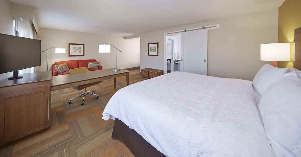 Studio, 1 King Bed, Accessible, Non Smoking (Roll-in Shower) photo 1