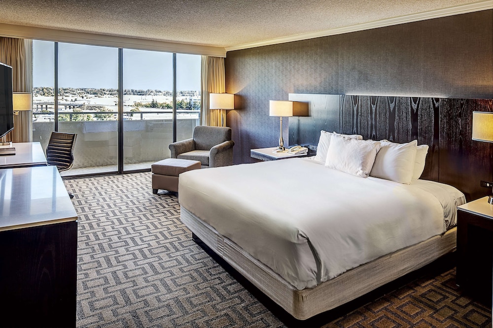Executive Suite, 1 King Bed, Non Smoking photo 1