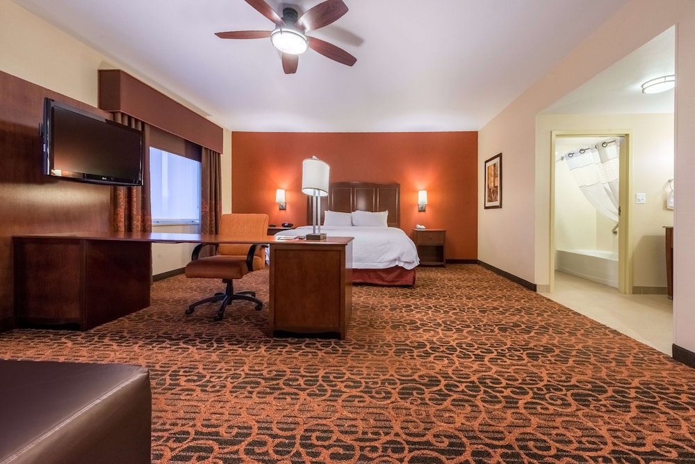 Suite, One King Bed photo 2