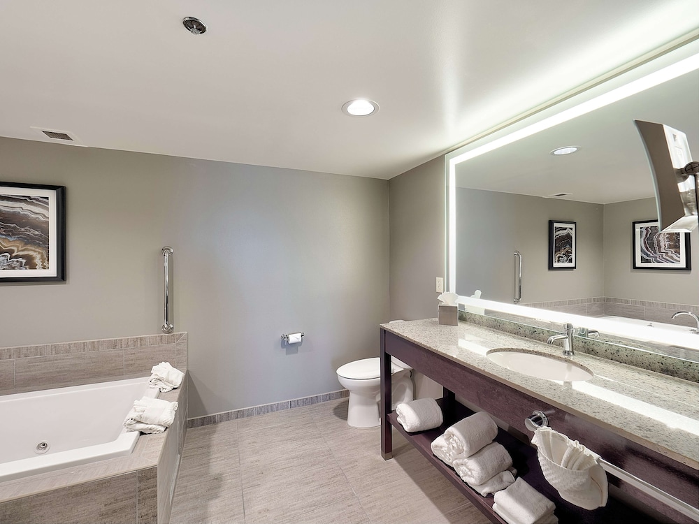 Executive Suite, 1 King Bed photo 2