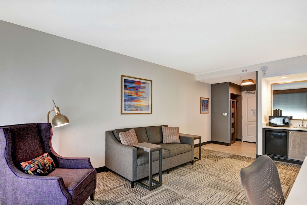 Suite - Photo 2