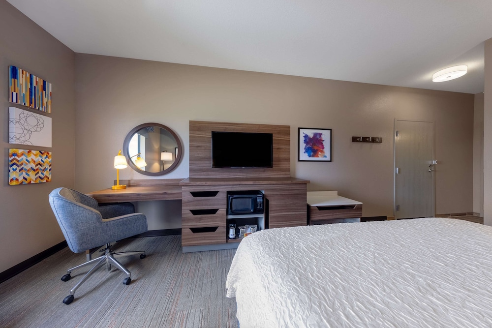 One King Bed - Photo 1
