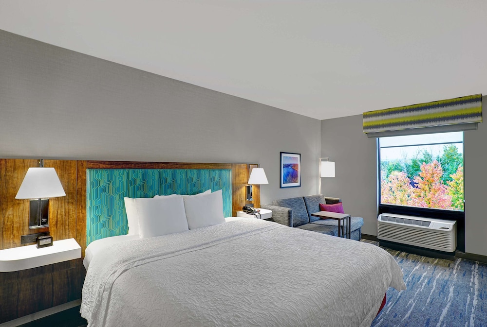 Room, 1 King Bed, Accessible - Photo 5