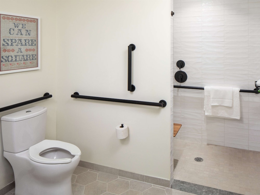 Room, 1 King Bed, Accessible (Mobility, Roll-In Shower) - Photo 8