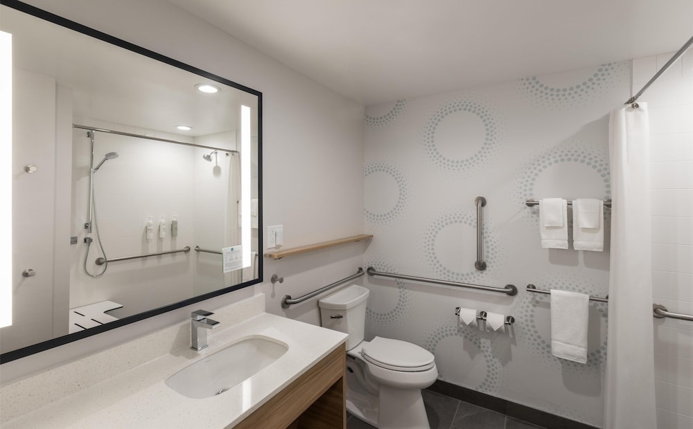 Room, 1 King Bed, Accessible (Mobility & Hearing, Roll-in Shower)