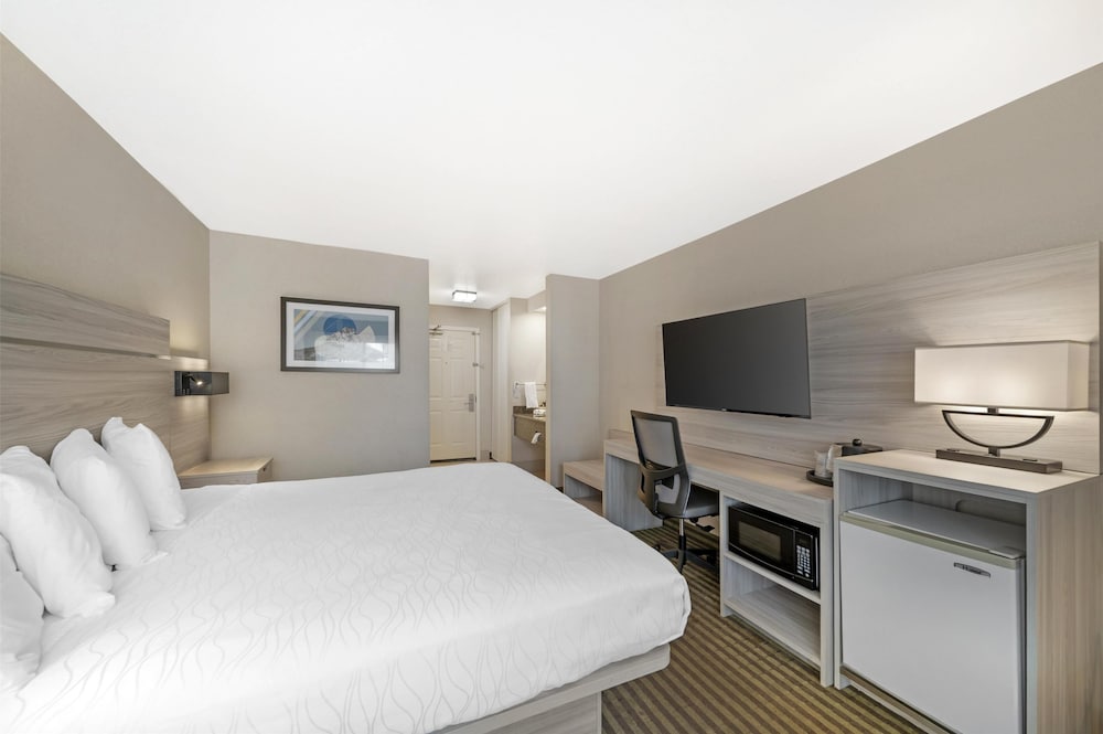 Standard Room, 1 King Bed, Non Smoking, Refrigerator & Microwave (Pet Friendly) - Photo 1