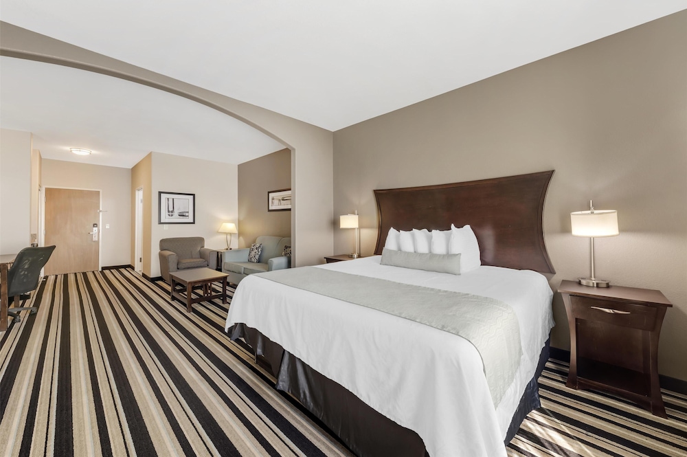 Suite, 1 King Bed, Non Smoking, Refrigerator & Microwave (Larger Room;with Sofabed)