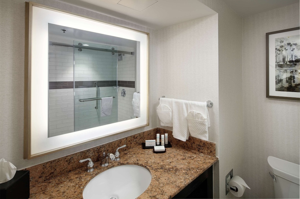 2 Room, 1 King Premium Suite Mobility/Hearing Access Tub - Photo 5