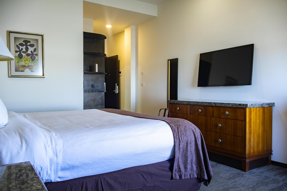 Standard Room, 1 King Bed, Accessible, Non Smoking - Photo 2