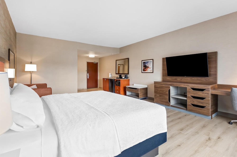 Studio, 1 King Bed, Refrigerator - Photo 2