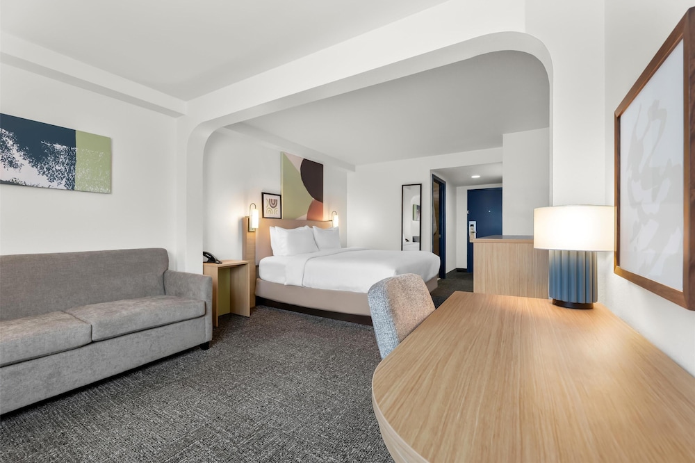 Room, 1 King Bed, Accessible (Mobility & Hearing, Roll-in Shower) - Photo 2