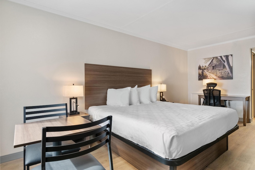 Standard Room, 1 King Bed, Non Smoking, Kitchenette (1st Floor)