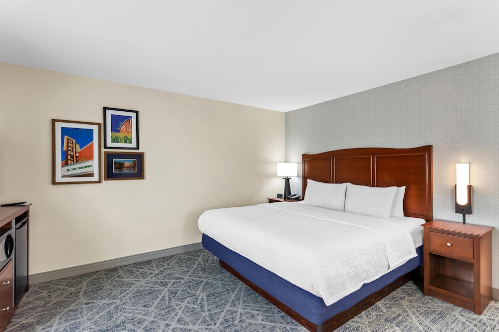 Room, 1 King Bed, Accessible photo 1
