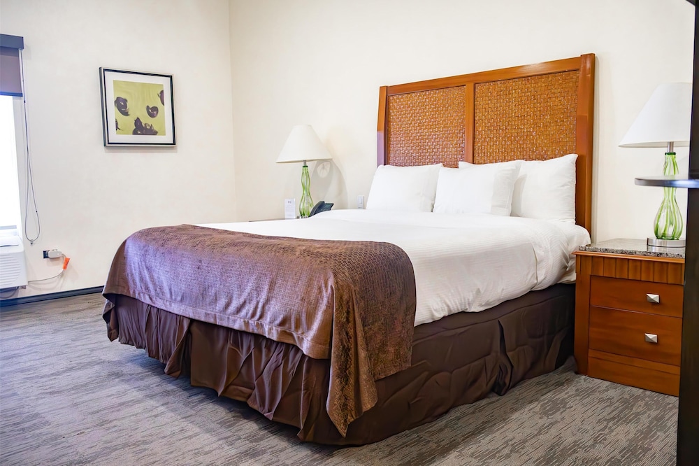 Standard Room, 1 King Bed, Accessible, Non Smoking - Photo 3