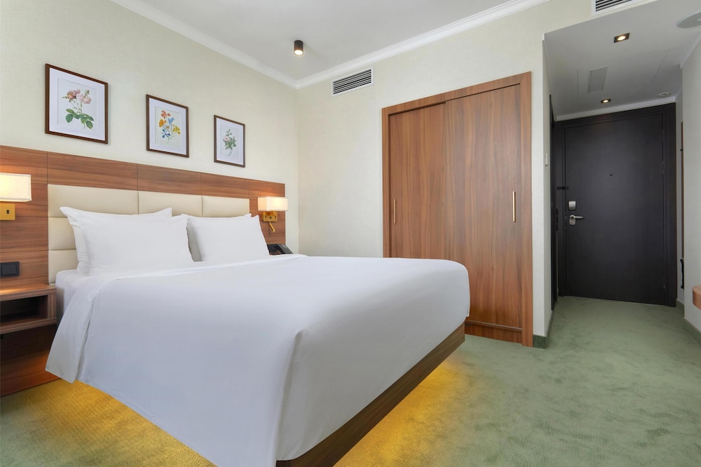 Superior Room, 1 Queen Bed photo 1