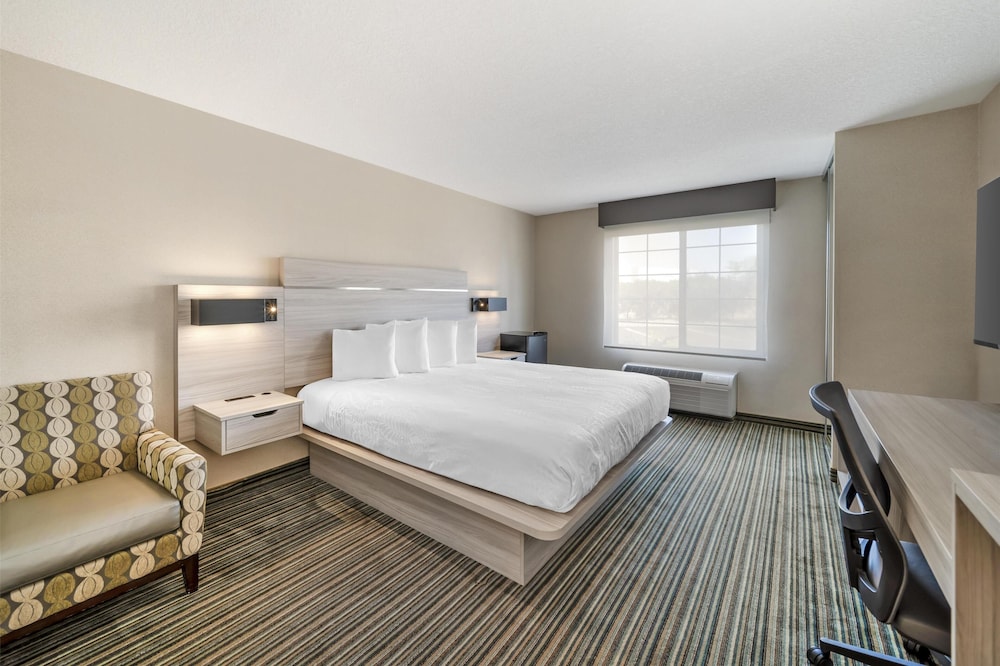 Standard Room, 1 King Bed, Accessible, Refrigerator & Microwave - Photo 3