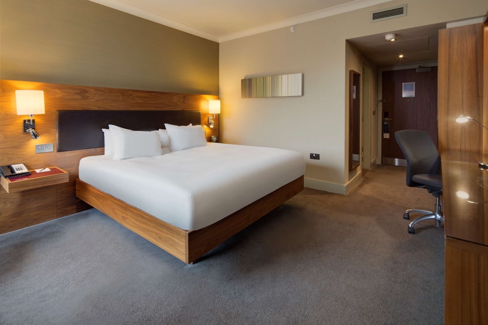 Room, 1 King Bed, Accessible photo 3