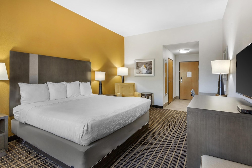 Standard Room, 1 King Bed, Non Smoking, Refrigerator & Microwave (Larger Room) photo 2