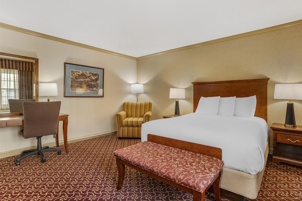 Standard Room, 1 Queen Bed, Non Smoking, Refrigerator & Microwave photo 1