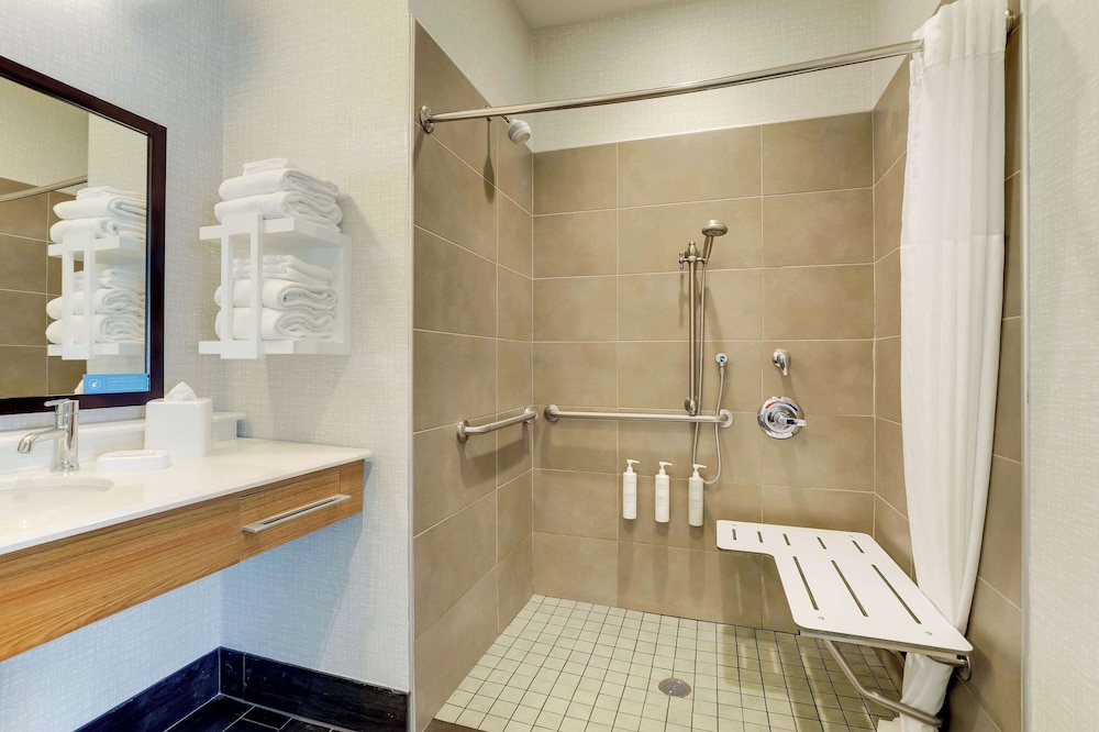 Studio, 1 King Bed, Accessible (Roll-In Shower)